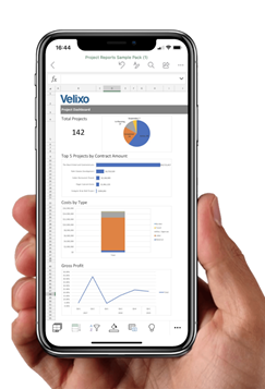 Velixo Mircosoft Excel Reporting